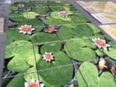 3D Stone Mosaic tiles
